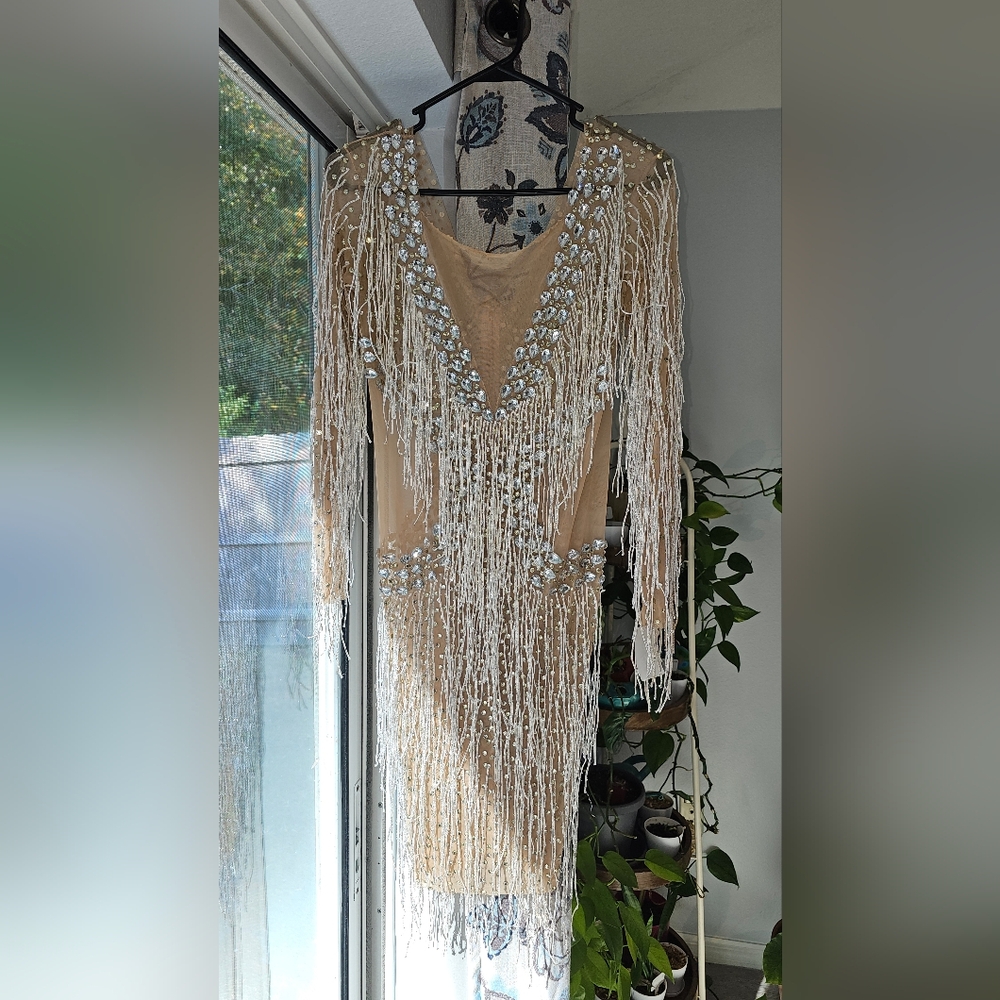 Unique Rare Size Large Ice Me Out Bling Birthday Silver Rhinestone Fringe Dress - Picture 11 of 11